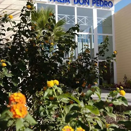 Palia Don Pedro Hotell
