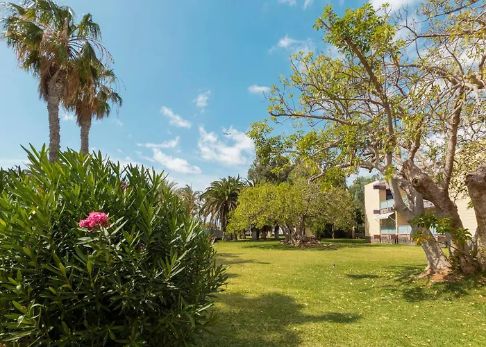 Отель Palia Don Pedro Коста-дель-Силенцио