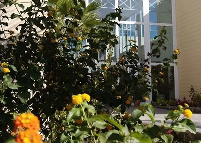 Palia Don Pedro Отель